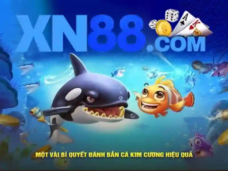 xn88 sa: Định hình thương hiệu và trải nghiệm xn88 sa