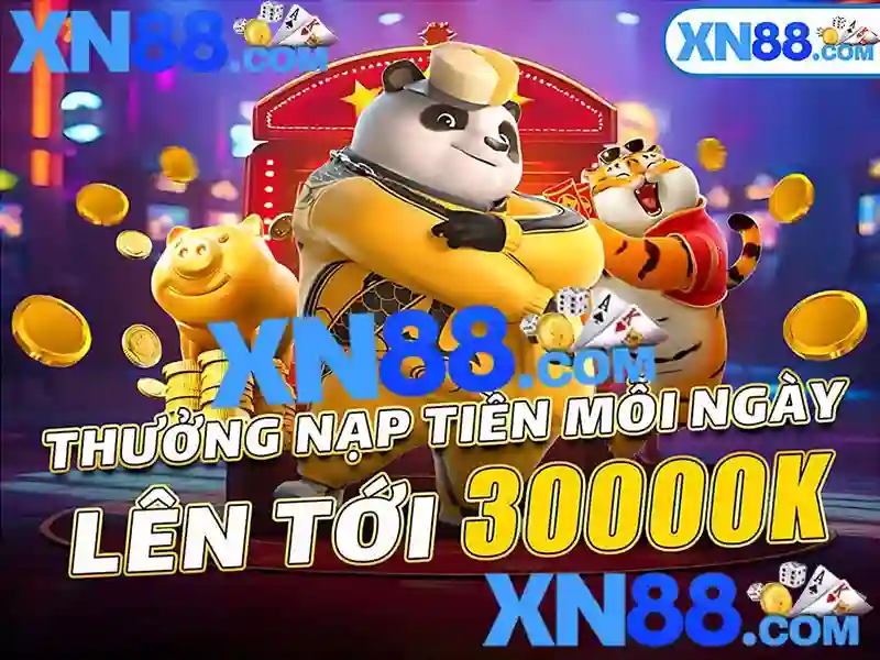 xn88 . com – Hành trình thương hiệu và trải nghiệm người dùng