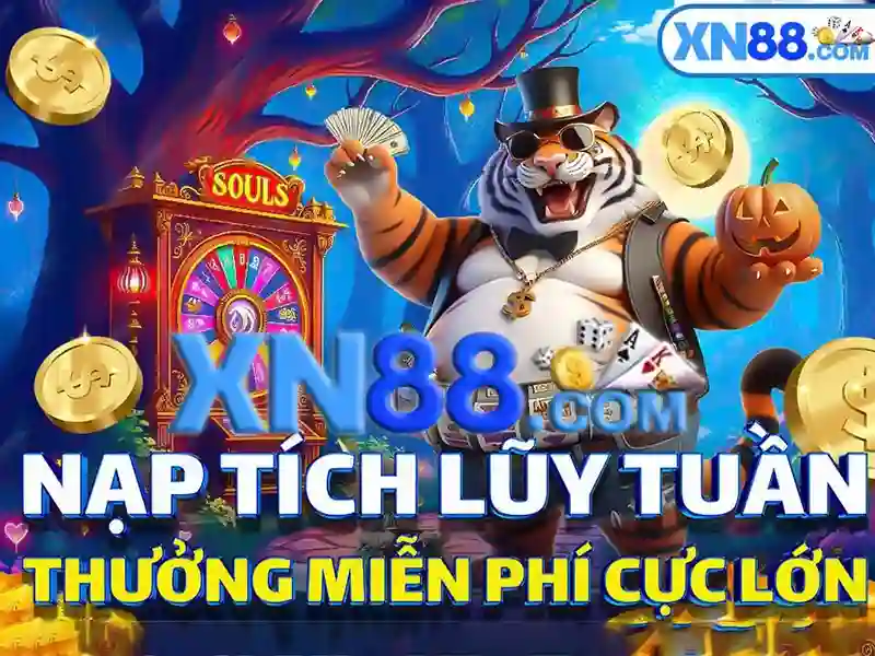 Trải nghiệm người dùng và cộng đồng phản hồi
