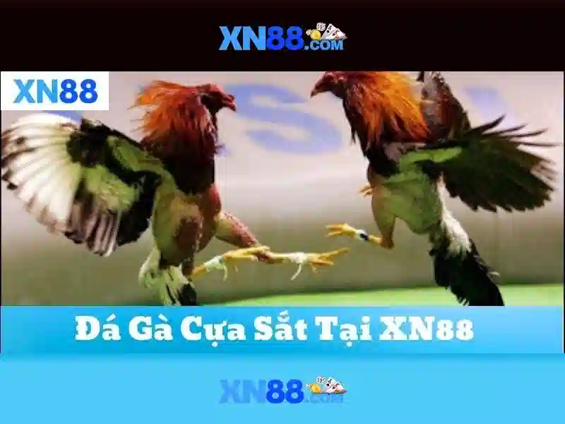 xn88 bshrf sa com: Trải nghiệm xn88 gaming và app xn88