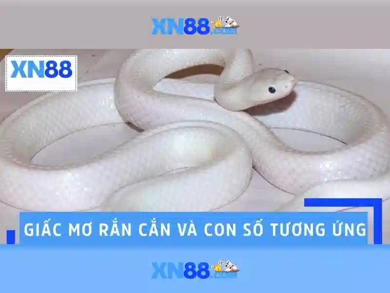 Nguồn gốc và sứ mệnh của tai app xn88