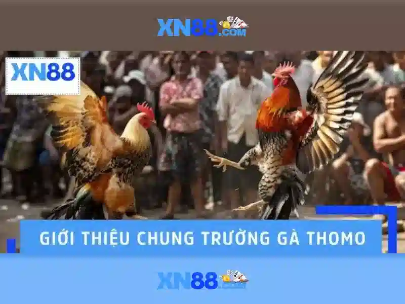 Nguồn gốc và ý nghĩa