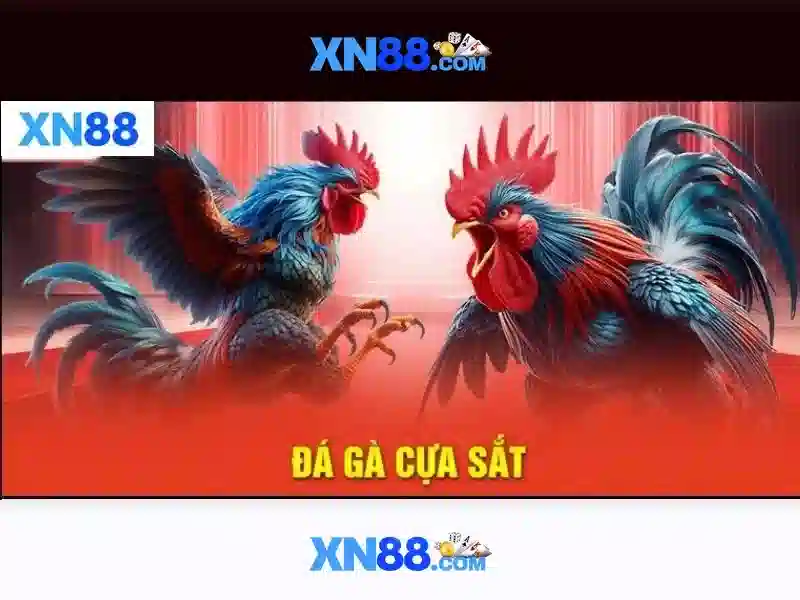 XN88 – Trang web cược và trò chơi trực tuyến tại Việt Nam