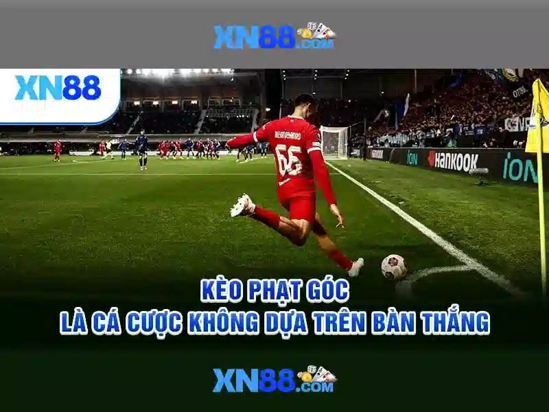 xn88: Nền tảng trực tuyến và hành trình phát triển
