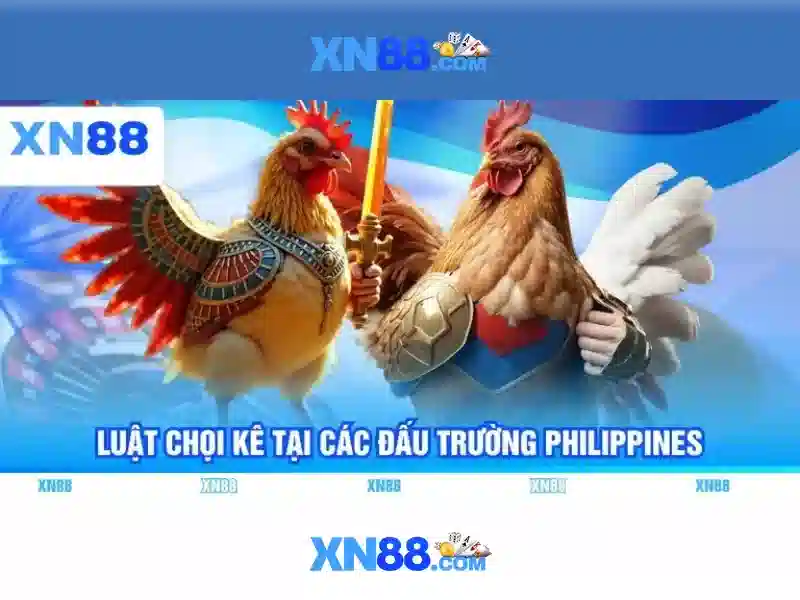 XN88: Nền tảng giải trí trực tuyến và cá cược an toàn