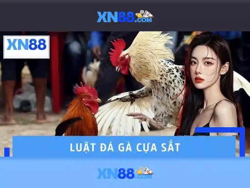 Đặc điểm nổi bật của xn88