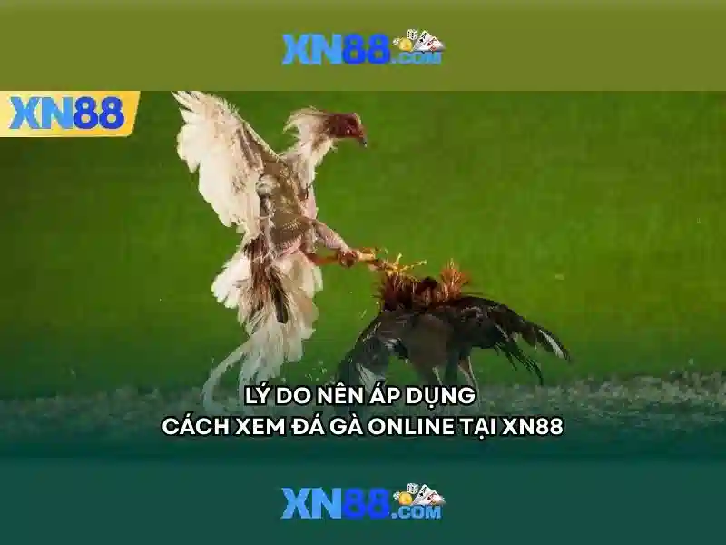 Giới thiệu xn88