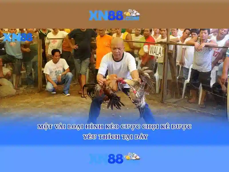 Nguon goc va su menh cua xn88 voq33.za.com