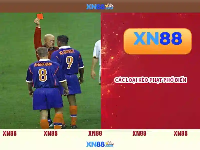 Giới thiệu về xn88
