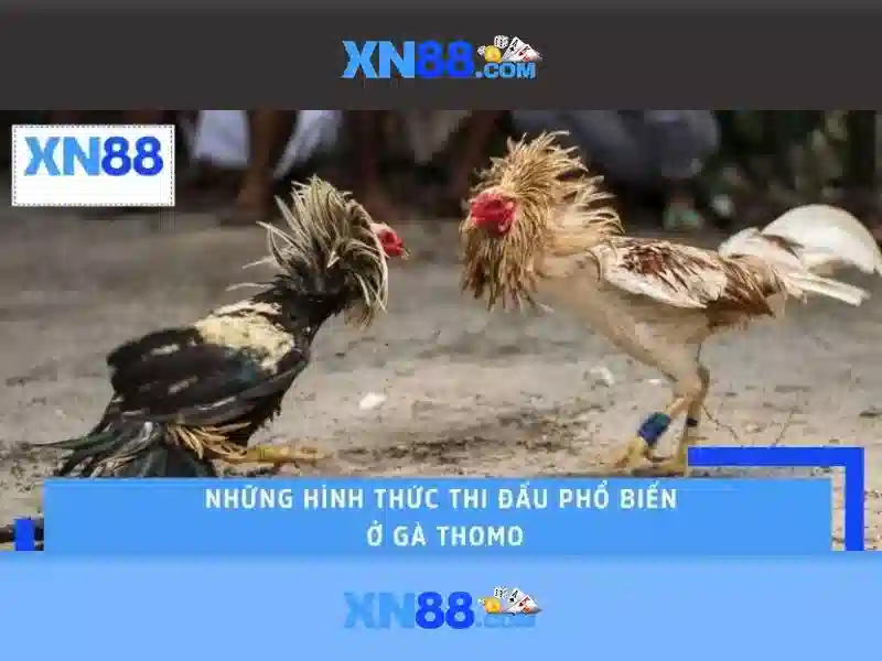 xn88 - Tổng quan về nền tảng giải trí trực tuyến