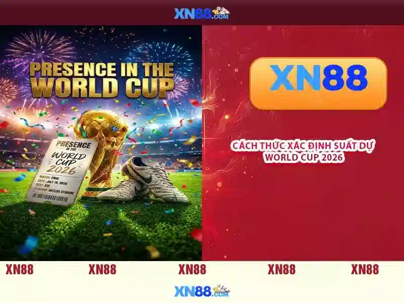 Cung cấp sản phẩm và dịch vụ của xn88