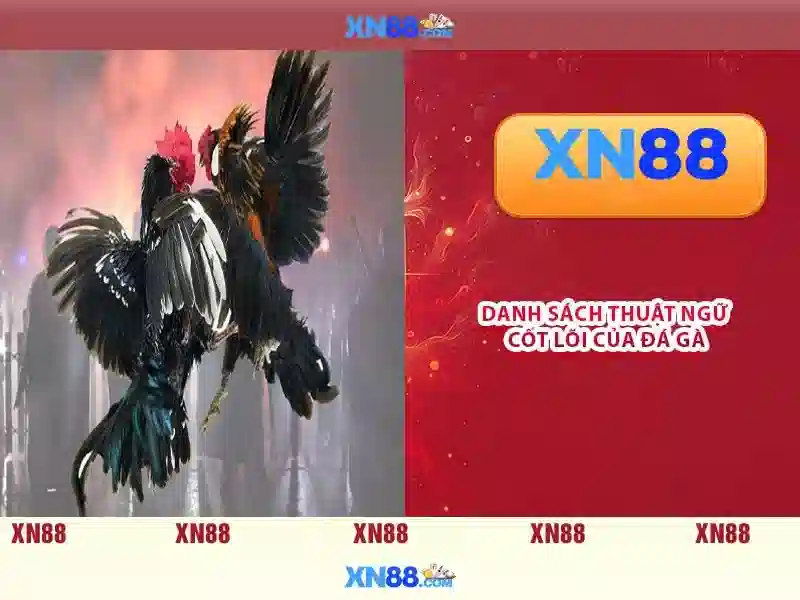 xn88 nhà cái – Trải nghiệm đỉnh cao cho cộng đồng cá cược Việt