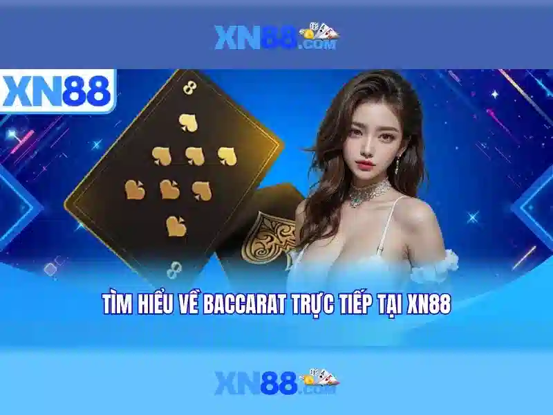Lịch sử và tầm nhìn