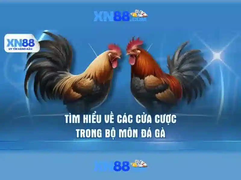 nguon goc tu ngu va su menh