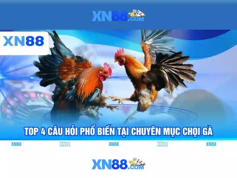 Sản phẩm và dịch vụ chính: Ứng dụng thực tiễn của xn88 đăng nhập