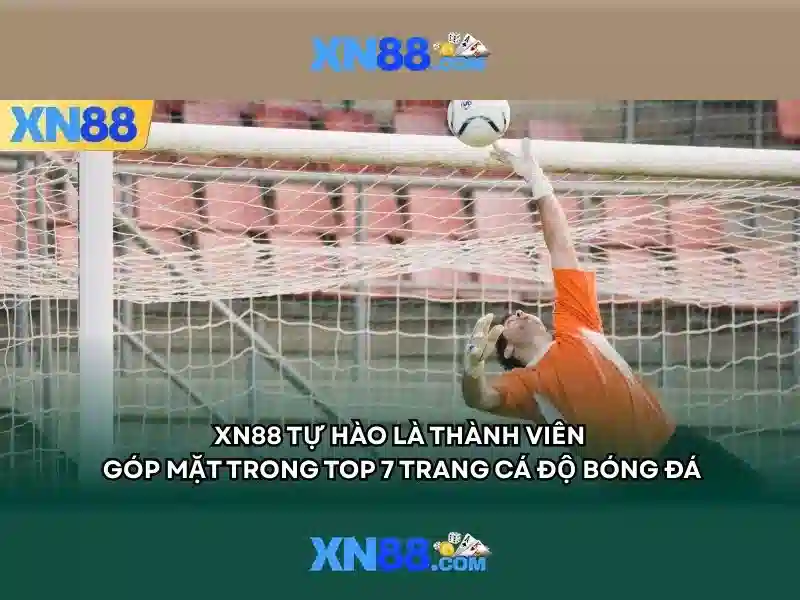 Xn88: Đánh giá và hướng dẫn sử dụng