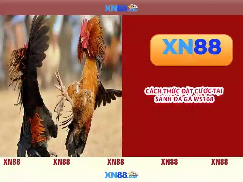 xn88 khuyến mãi – Ưu đãi hấp dẫn và trải nghiệm tối thượng