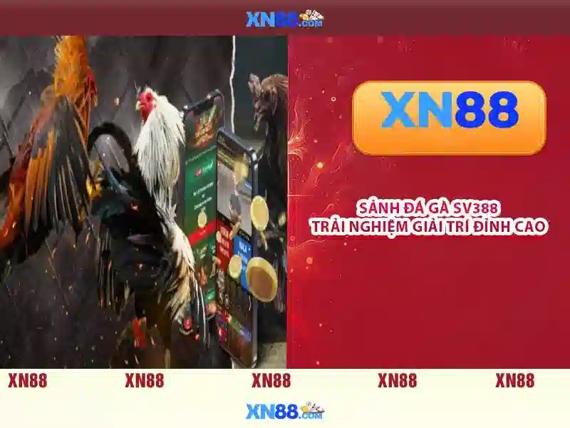 An toàn và bảo mật cho người chơi