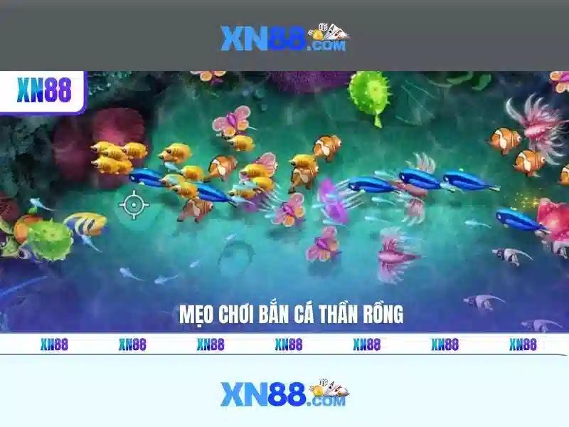 Lịch sử và mục tiêu