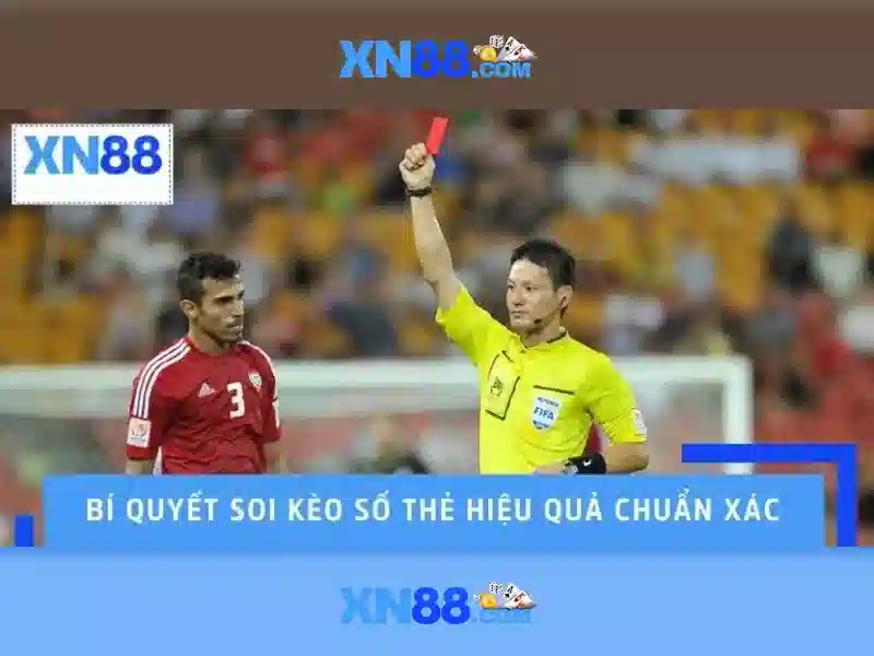 Các sản phẩm và dịch vụ của xn88