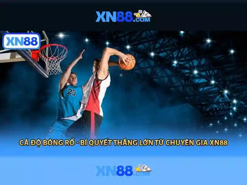 Khuyen mai va ho tro nguoi dung