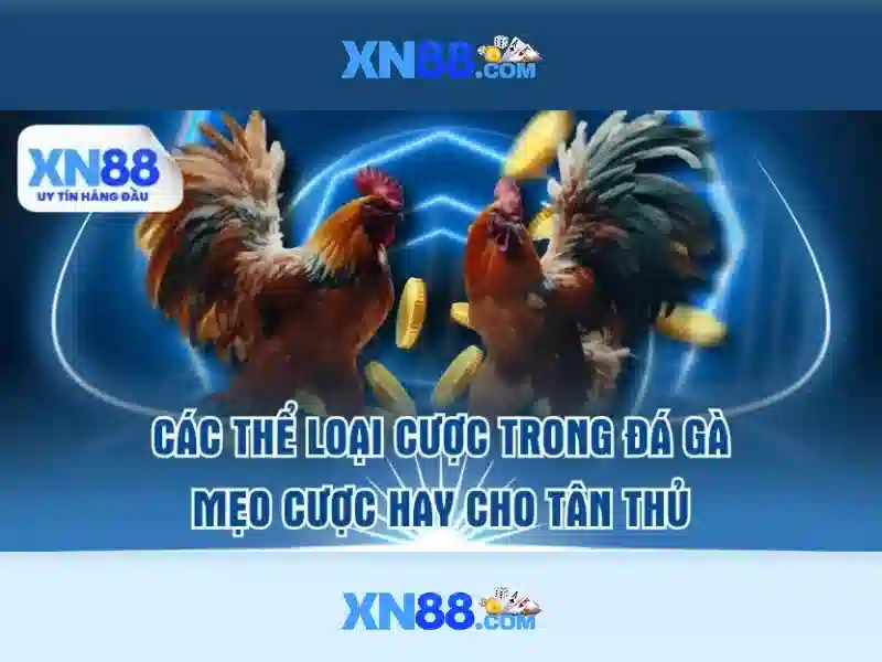 Các trò chơi có tại xn88