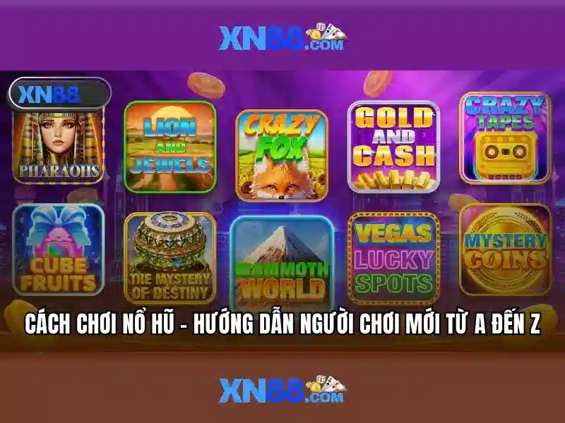 Tổng quan về xn88 chính thức