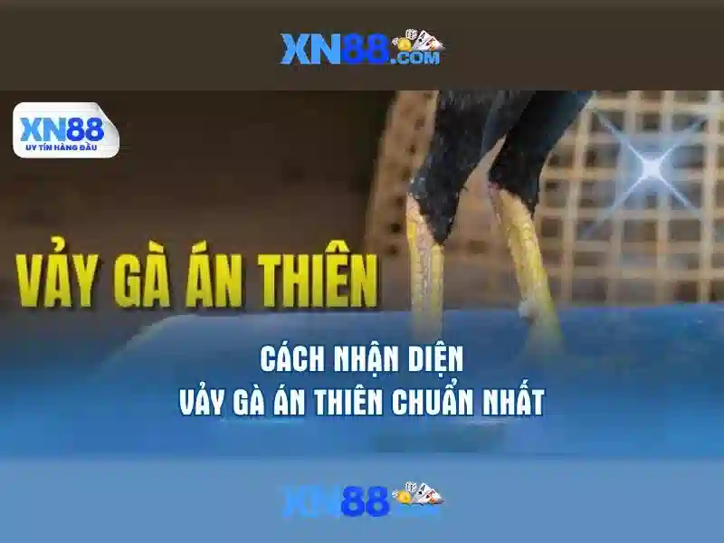 Giới thiệu xn88