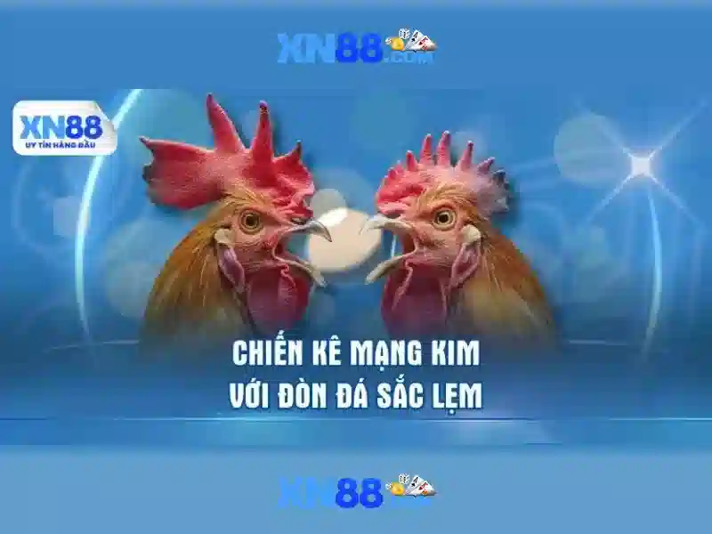 Giao diện và trải nghiệm người dùng