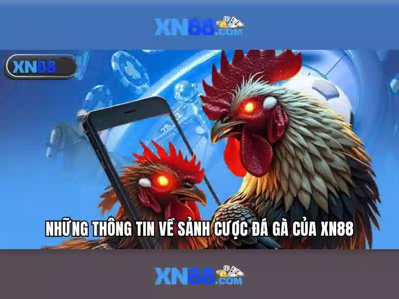 xn88 là gì và tại sao nó nổi bật trên thị trường cá cược trực tuyến
