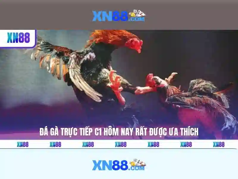 xn88: Nền tảng giải trí trực tuyến và đánh giá người dùng