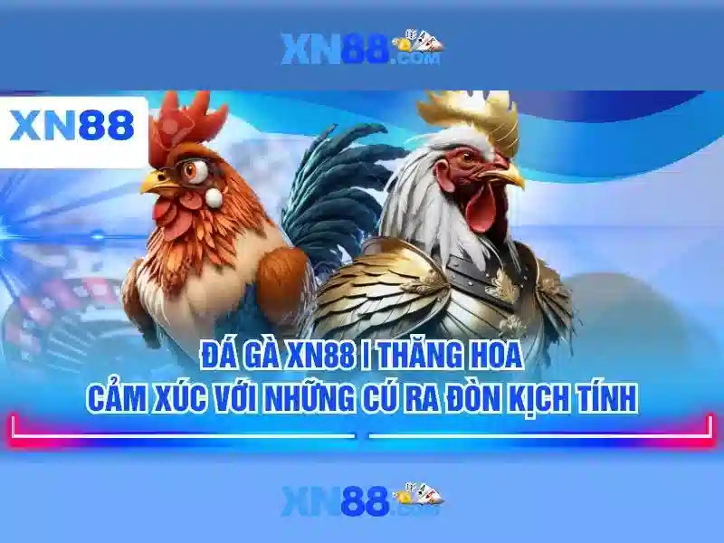 xn88: Giới thiệu và đánh giá nền tảng cá cược trực tuyến