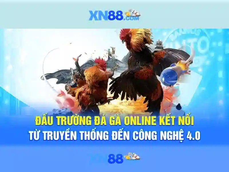 Hướng dẫn tham gia và thanh toán
