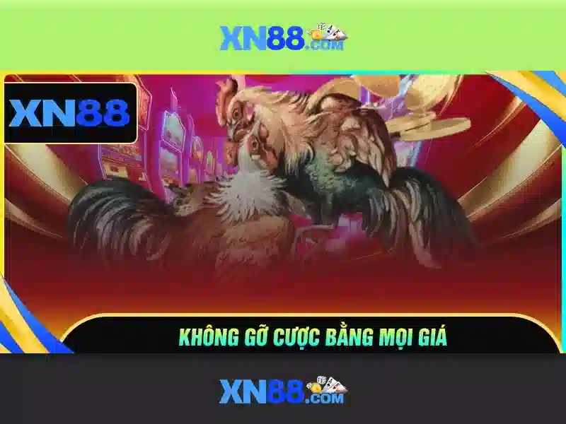 Khám phá xn88: nền tảng giải trí trực tuyến an toàn và hấp dẫn
