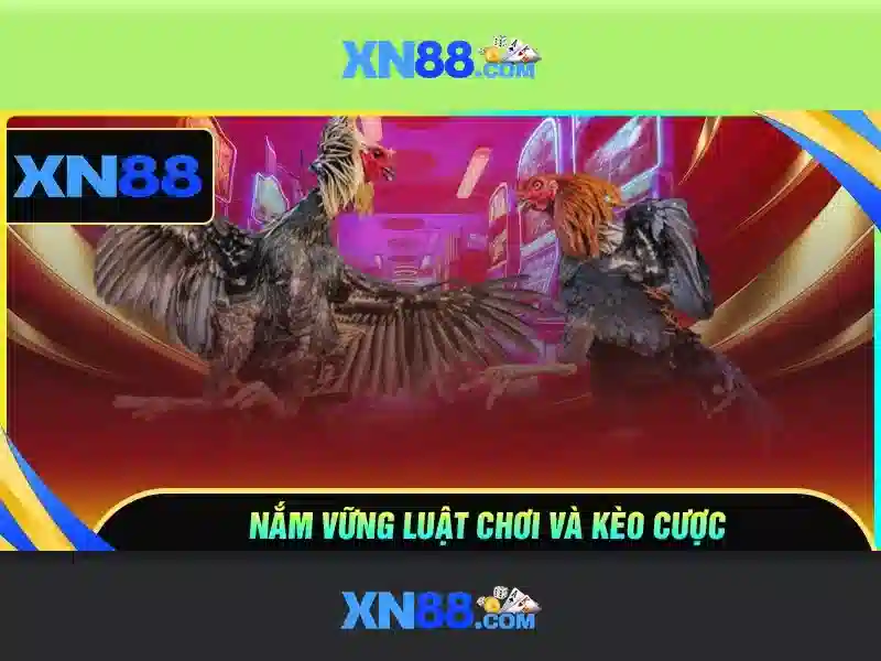 xn88: Tong quan ve nen tang va trai nghiem nguoi dung