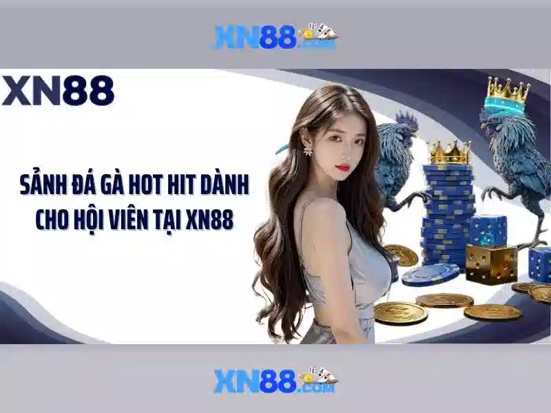 xn88: Tổng quan về nền tảng và trải nghiệm