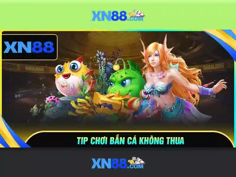 Giới thiệu xn88