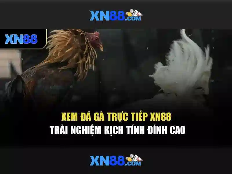 xn88 – Nền tảng cá cược trực tuyến toàn diện