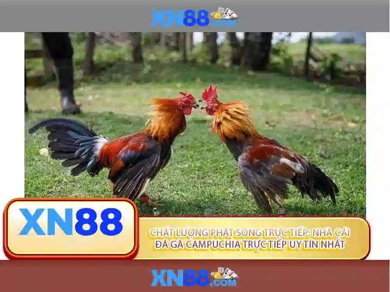 Cách hoạt động của xn88