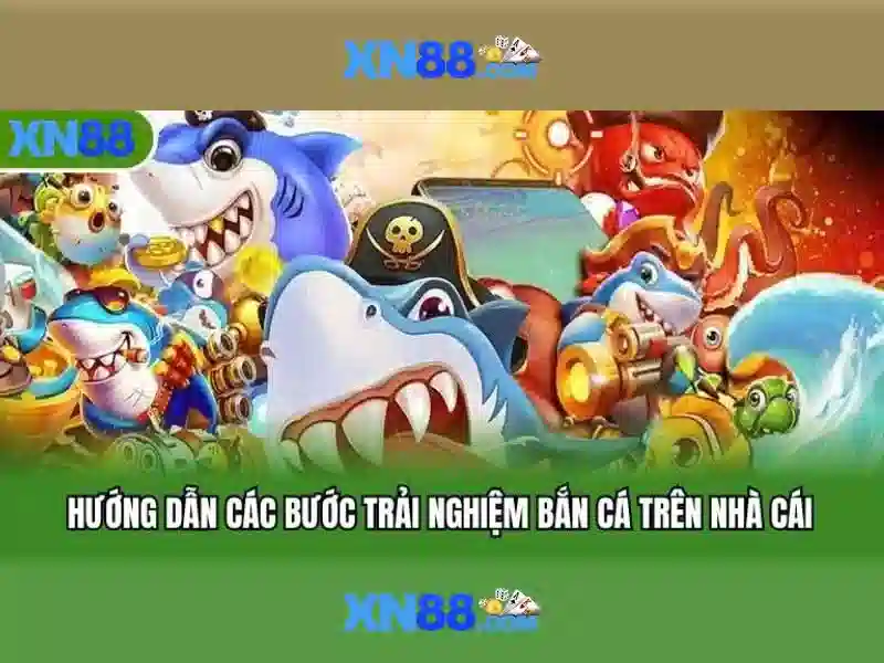 xn88 - Nền tảng cược trực tuyến và trải nghiệm người dùng