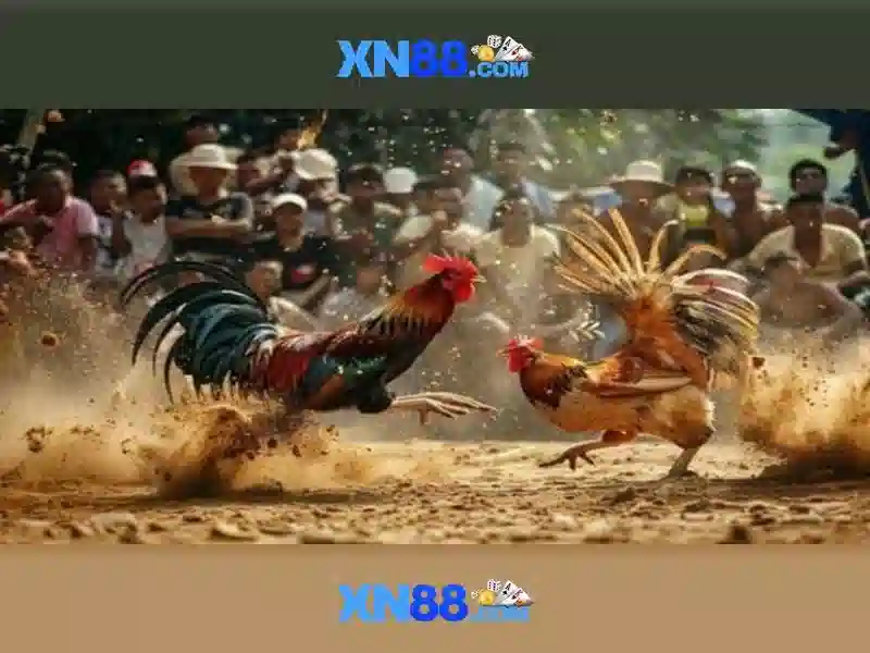 An toàn và bảo mật cho người chơi\n<h>Khuyến mãi và cách tham gia</h>\n<li style=