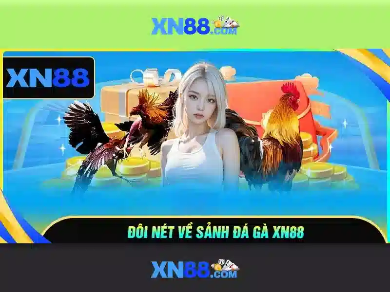 Các sản phẩm và dịch vụ