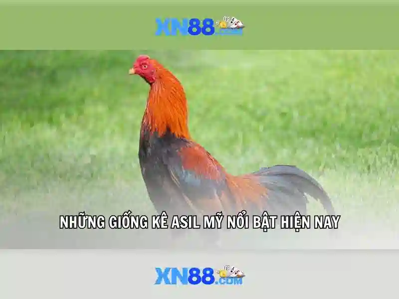 Lịch sử và nguồn gốc<li style=
