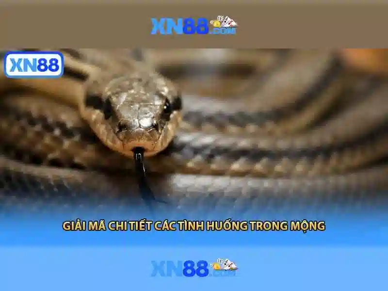 xn88 sa: Định hình thương hiệu và trải nghiệm xn88 sa