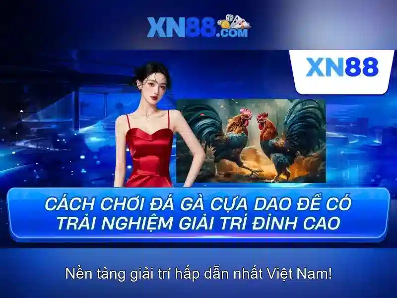 Kết luận
