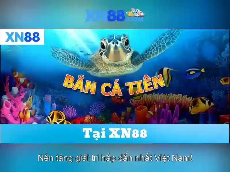 Khuyến mãi và cách tham gia