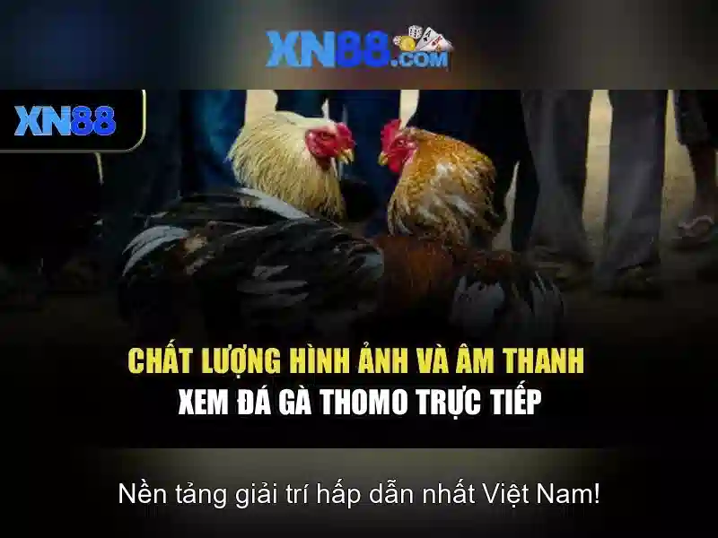 Tổng quan về xn88: nền tảng giải trí trực tuyến