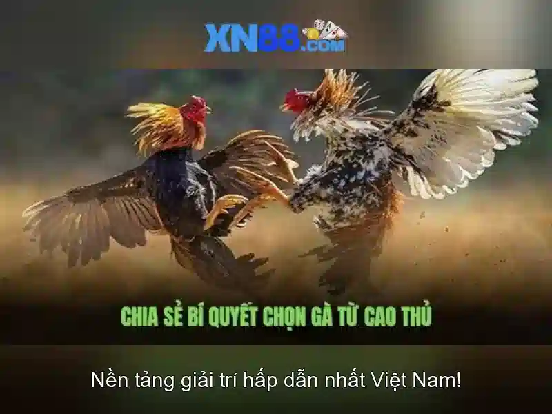Lĩnh vực hoạt động\n<h3><b>Tính năng và trải nghiệm người dùng</b></h3>\n<li style=
