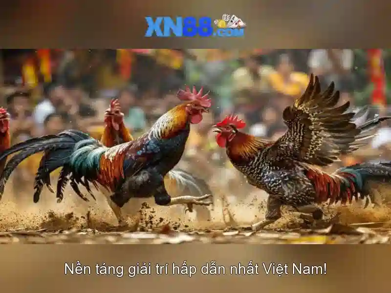 An toàn và pháp lý\n<h2><b>Trải nghiệm người dùng và giao diện</b></h2>\n<li style=