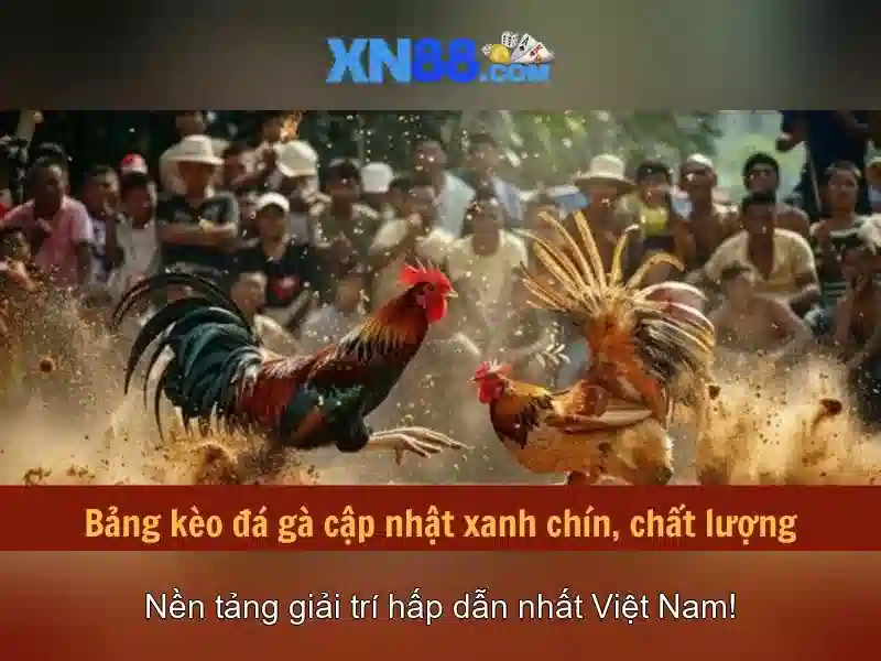 Các sản phẩm và dịch vụ